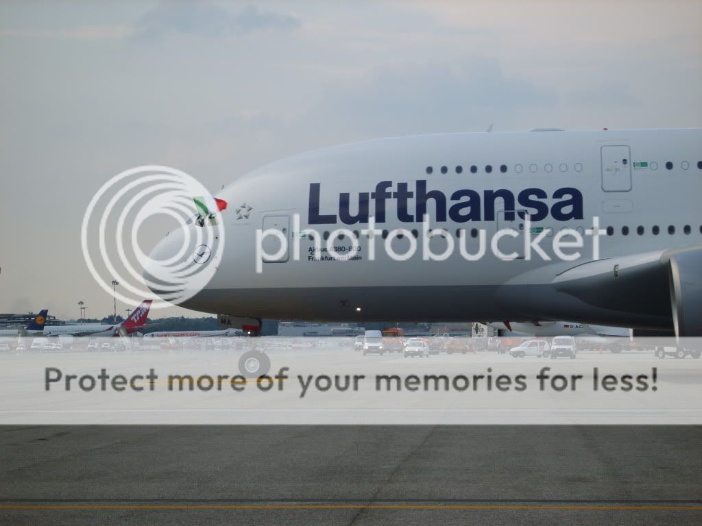 S8300030-1.jpg