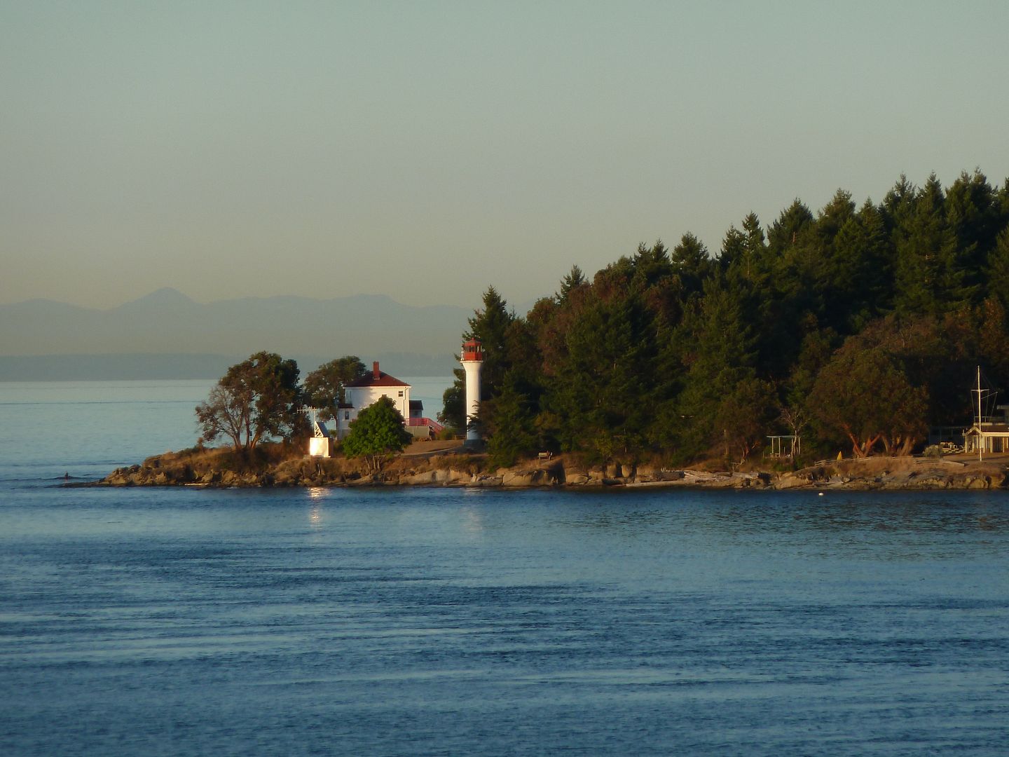 P1010305.jpg