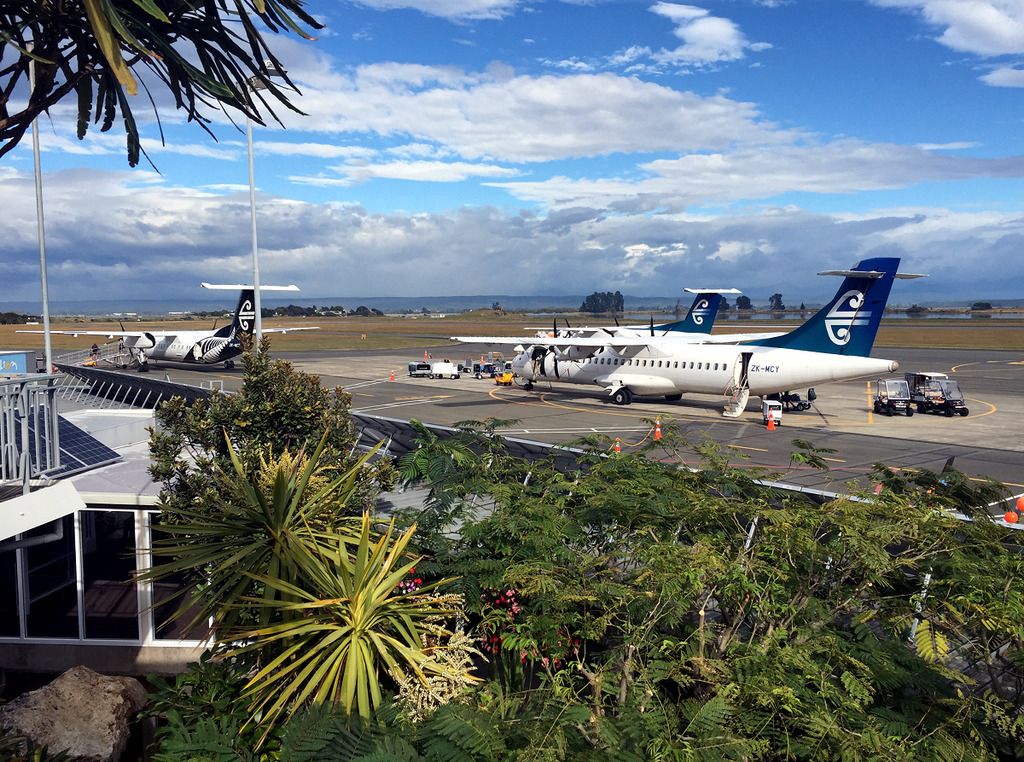 trnz169.jpg