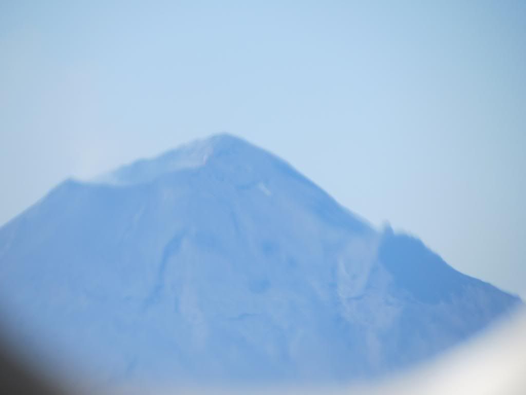 IMG_1755.jpg