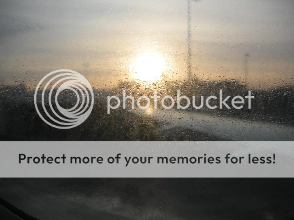 DSCN3278.jpg