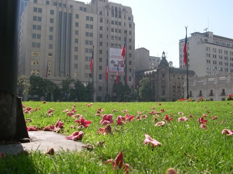 DSCN2792.jpg