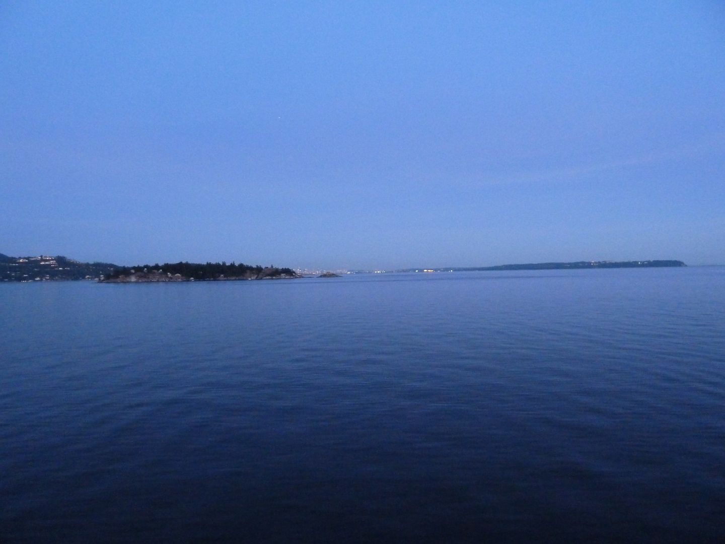 P1010264.jpg