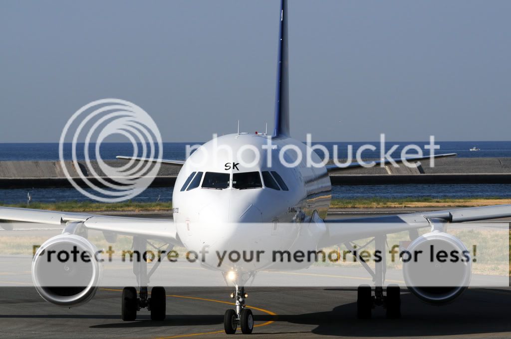 airone320front.jpg