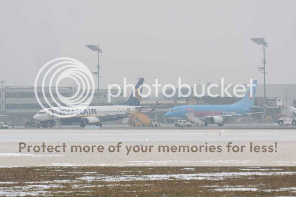 733-9.jpg