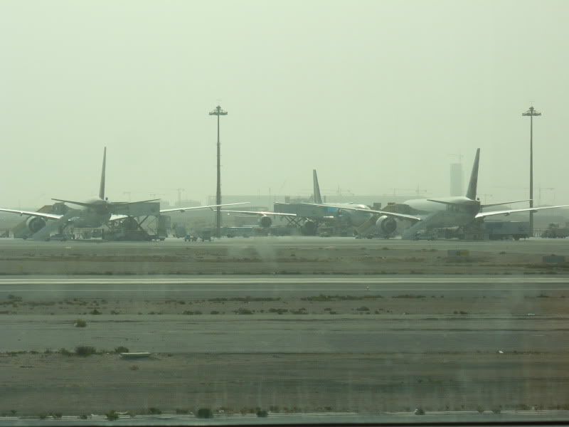P1020150.jpg