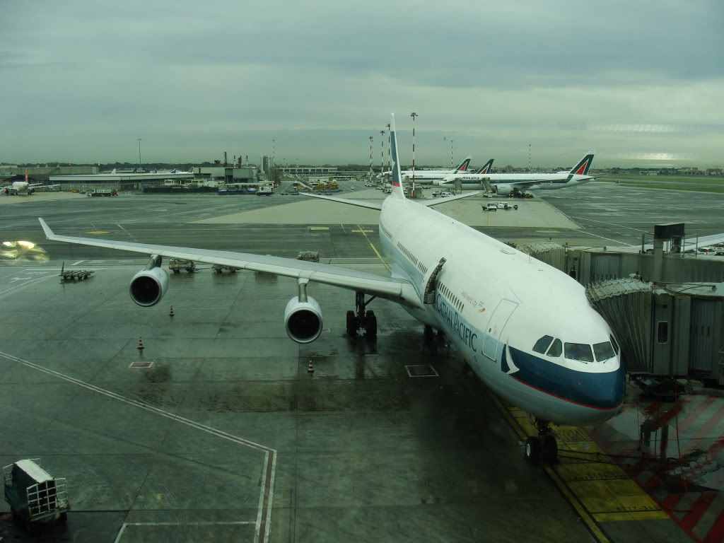 DSC09804.jpg