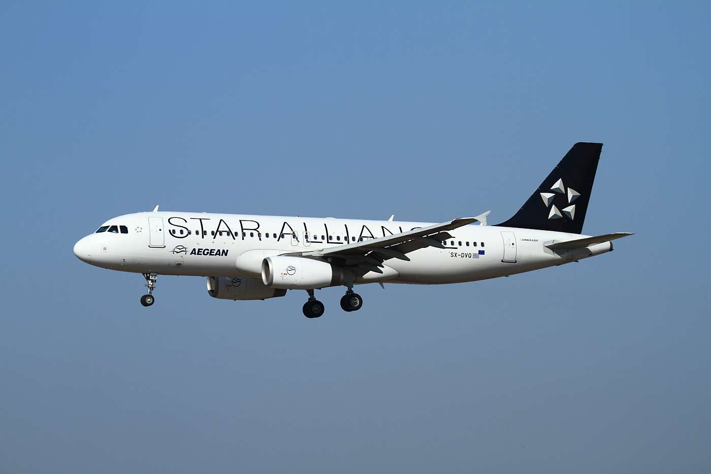 img9647a.jpg