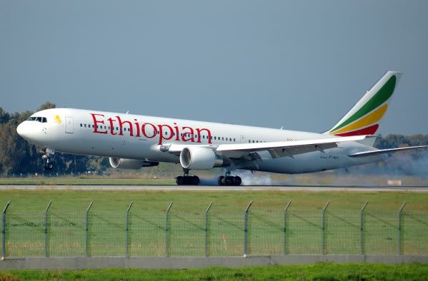 f6.jpg