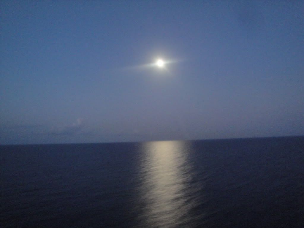 DSC05559.jpg