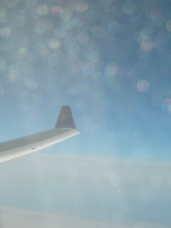 DSCN3228.jpg