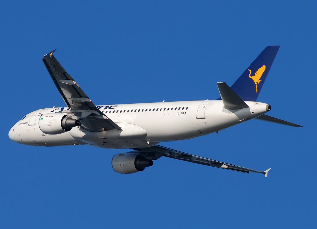 EI-DSZ.jpg