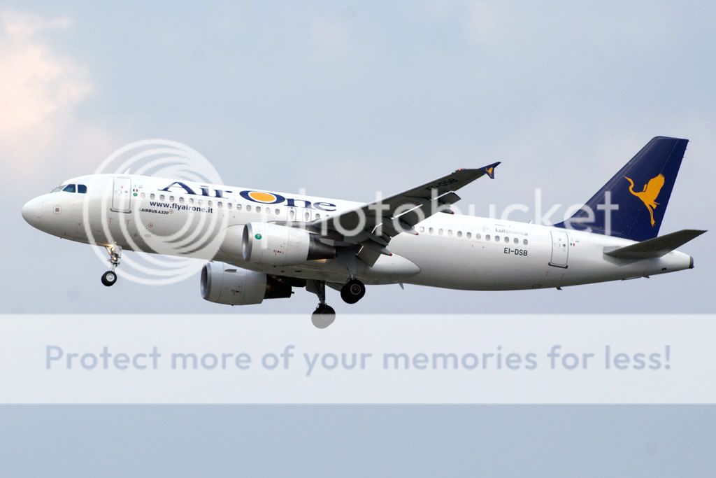 airone.jpg