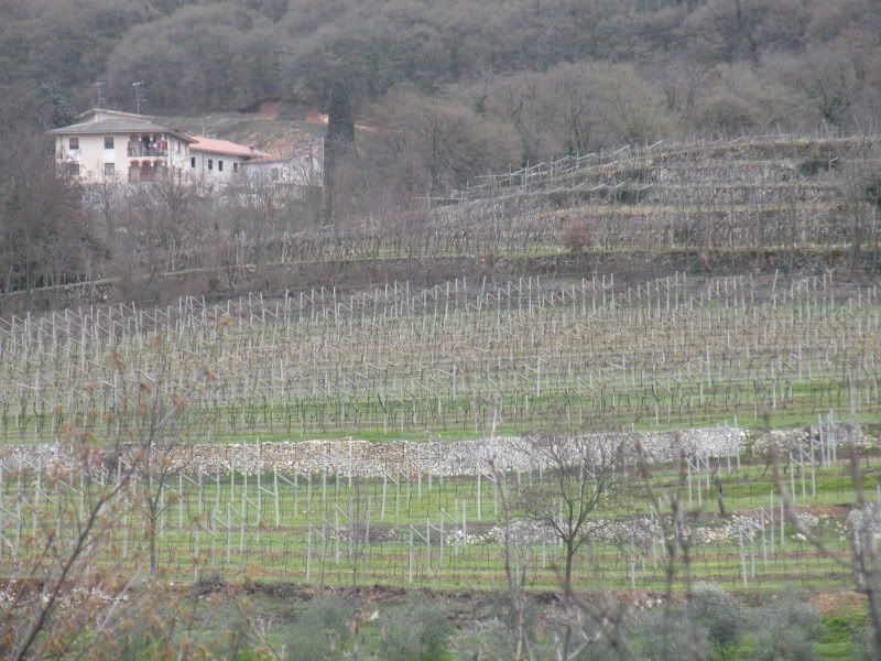 DSCN4504.jpg
