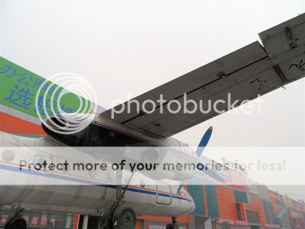 SAM_0035_zpsb4dacbfb.jpg