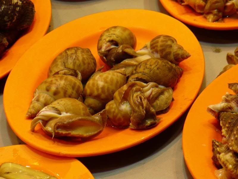 P1000428.jpg