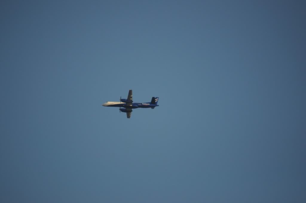 DSC_0062.jpg