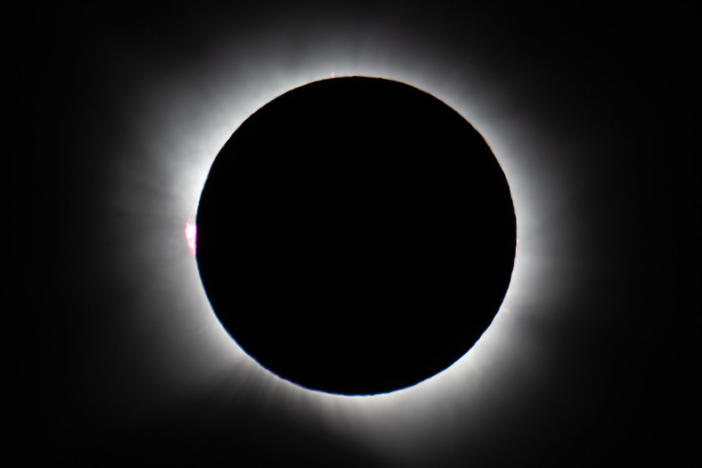 55466309532_ec2a31d735_b.jpg
