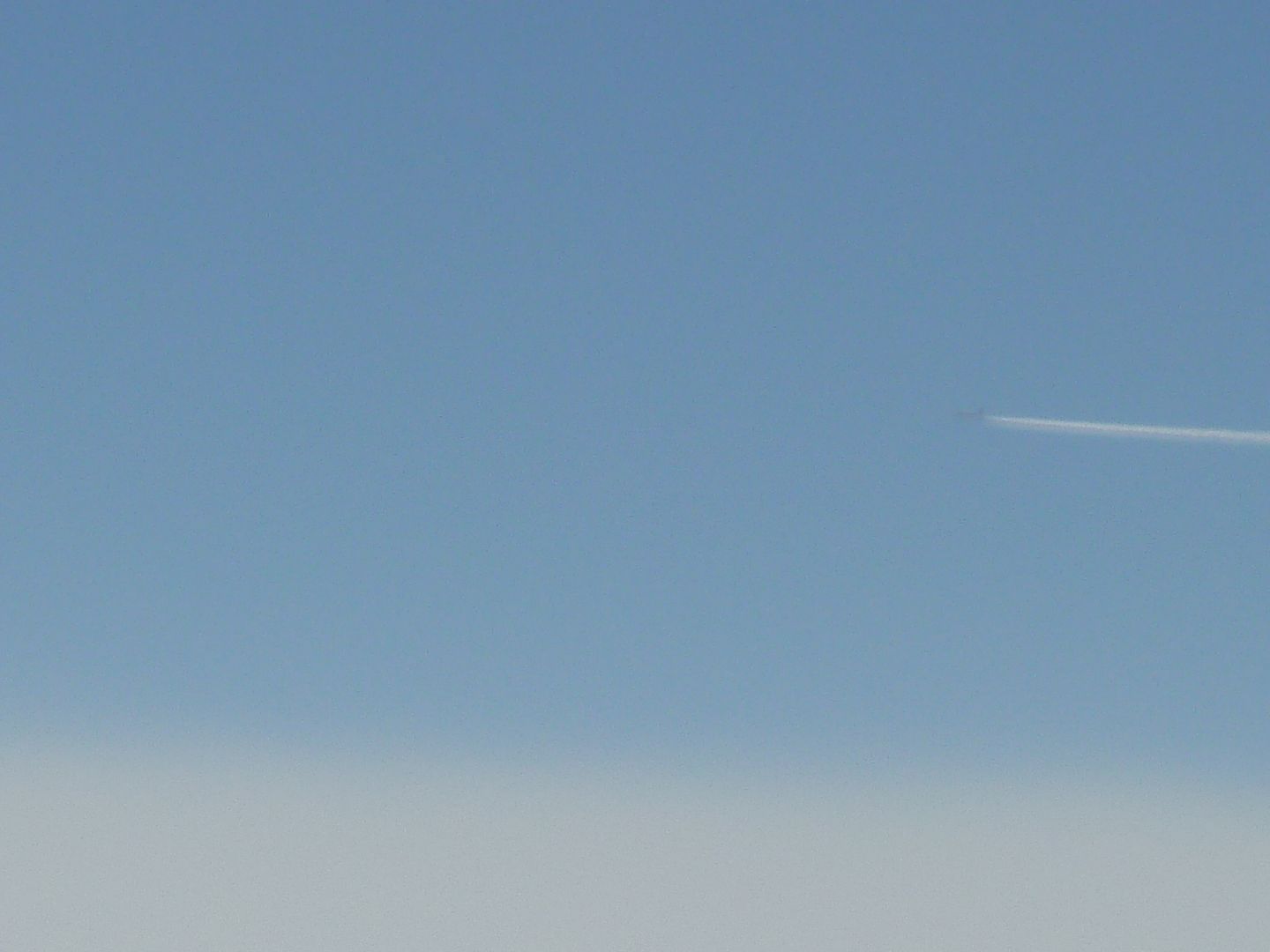 P1030225.jpg