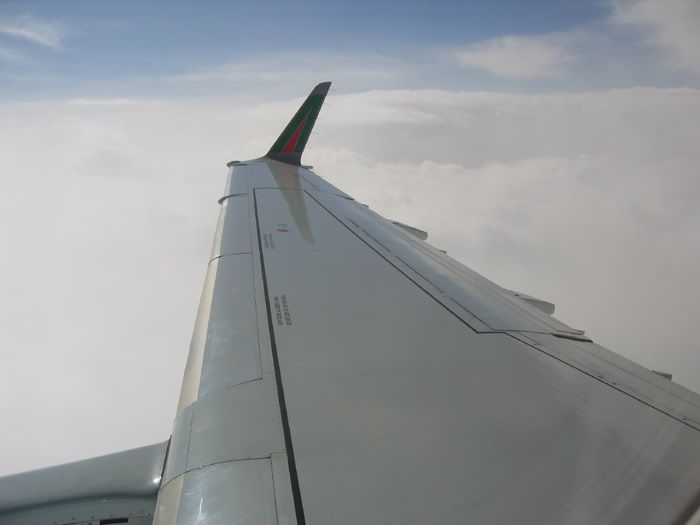 170Winglet.jpg