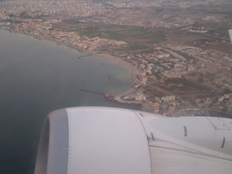 palmaalto2.jpg