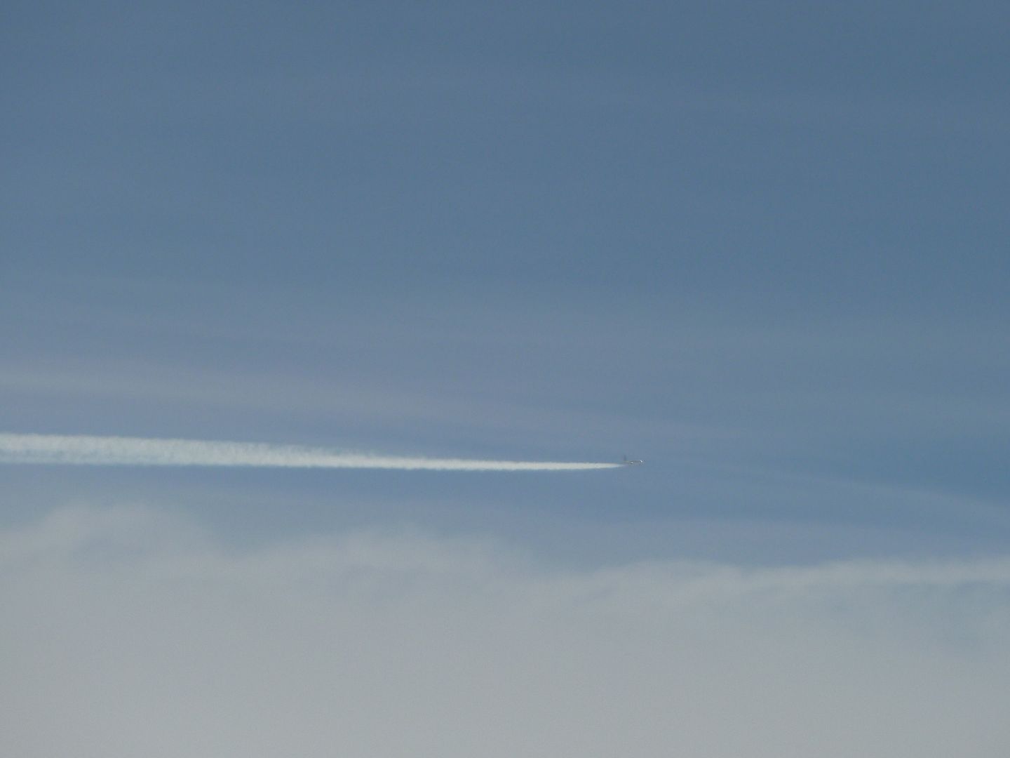 P1030219.jpg