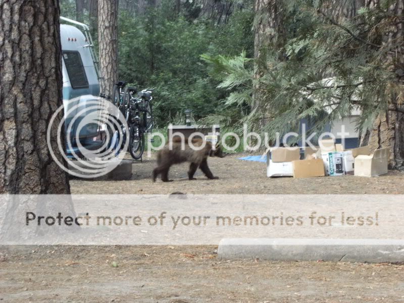 California153.jpg