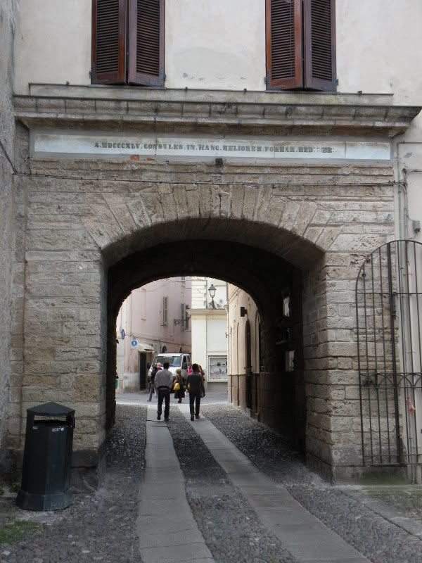DSCN8301.jpg