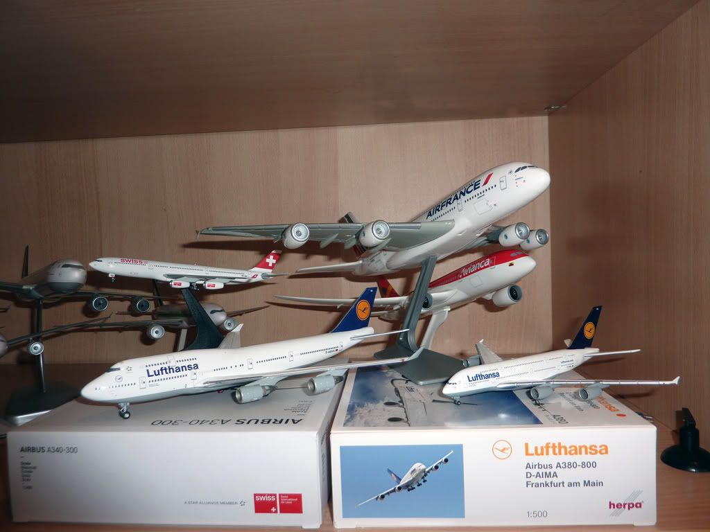P1020424.jpg