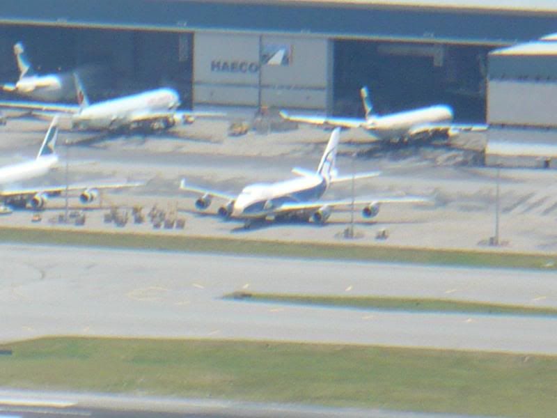 P1000524.jpg
