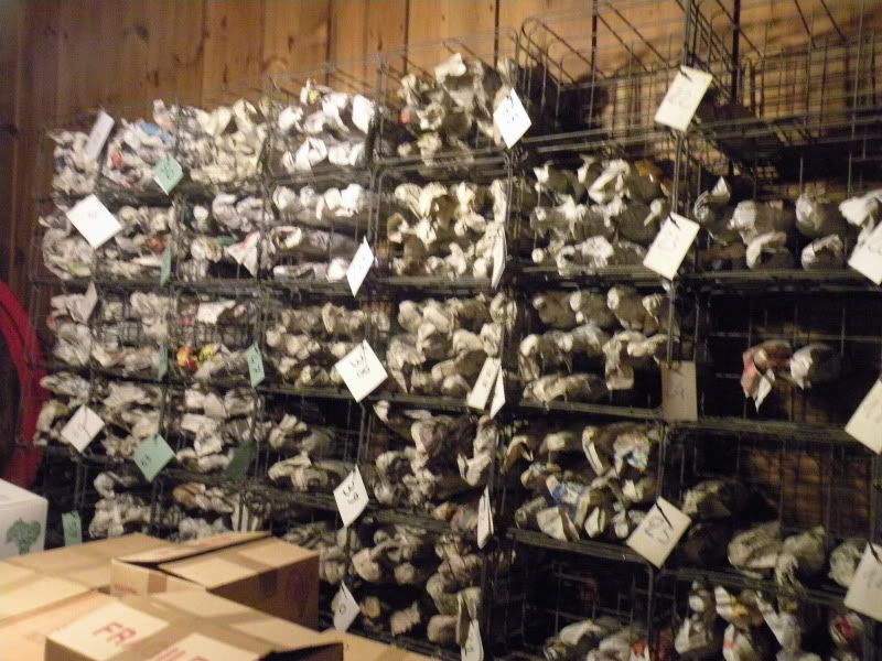 DSCN4561.jpg