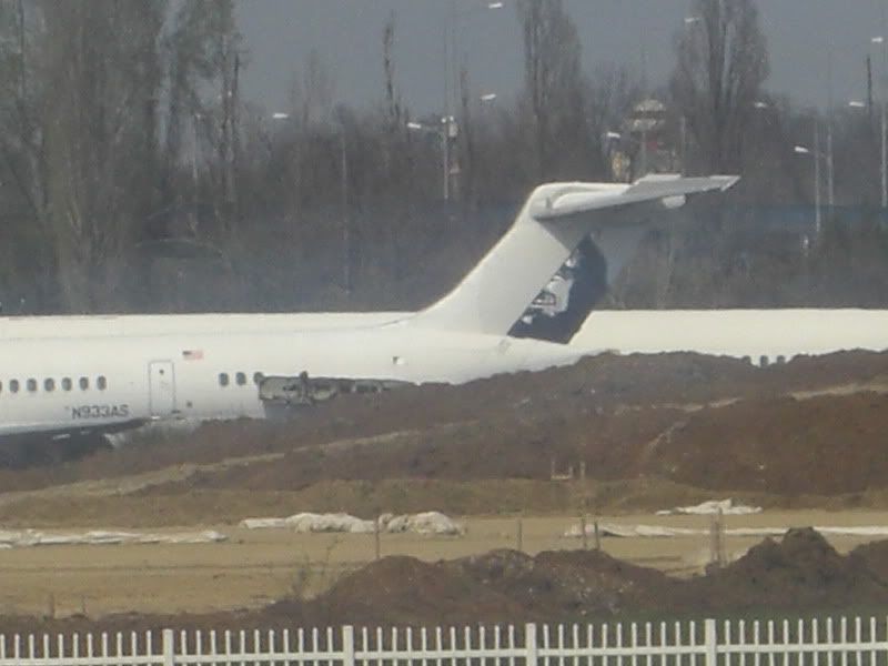 CIMG8391.jpg