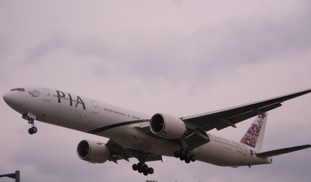 pia.jpg
