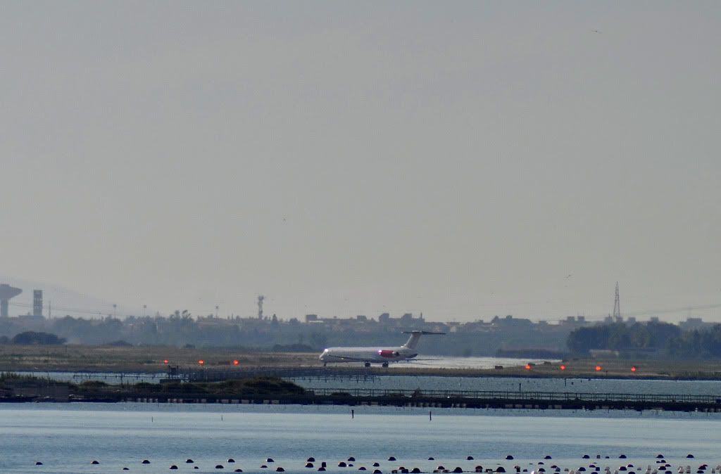 DSC_0418.jpg
