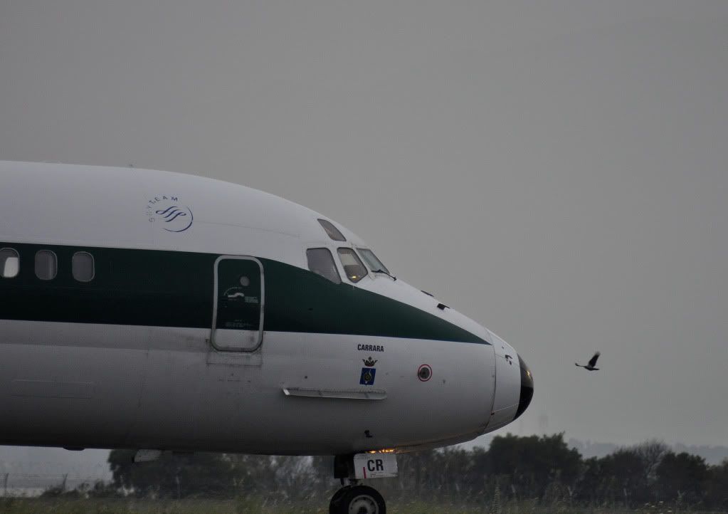 DSC_1738.jpg