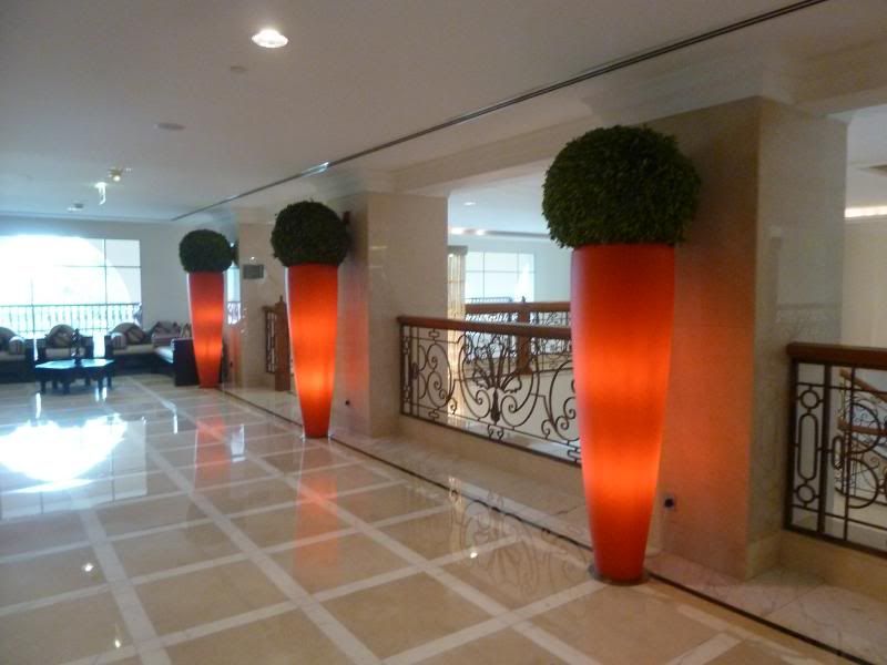 P1200531_zpsa00a8cef.jpg