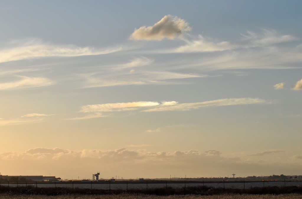 DSC_3778.jpg