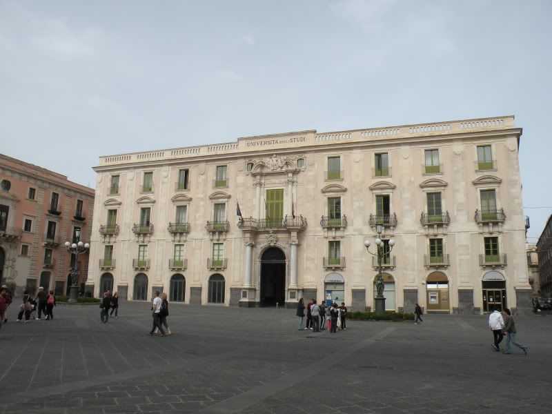 DSCN8266.jpg