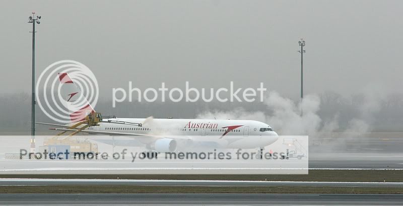 IMG_9446.jpg
