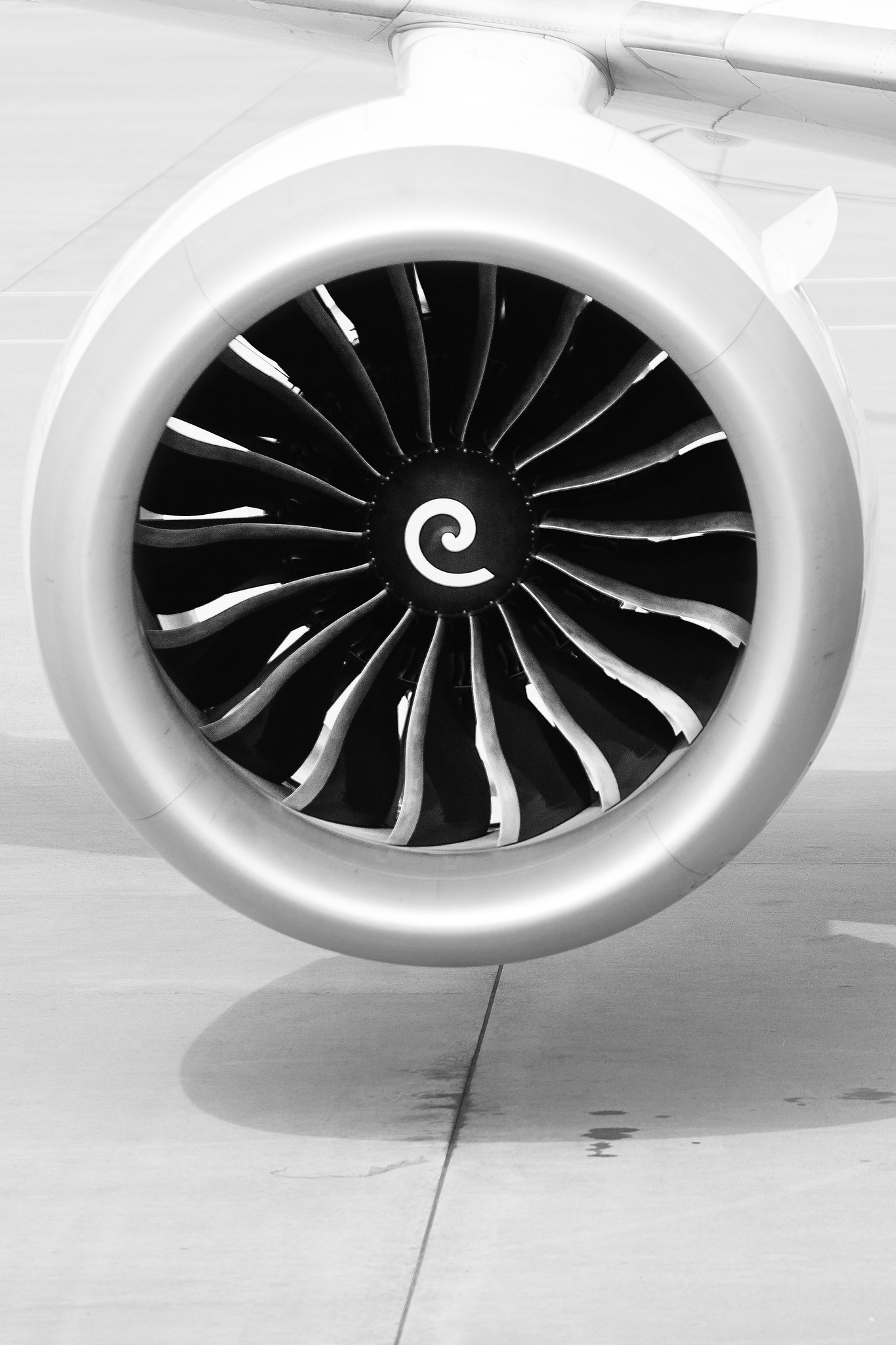 47019513734_213301016c_k.jpg