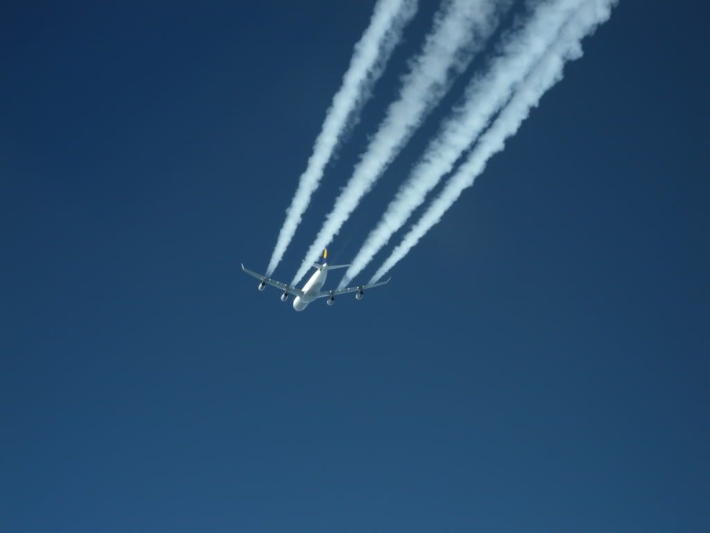 DSCN1257.jpg