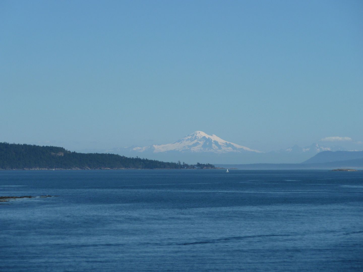 P1010276.jpg