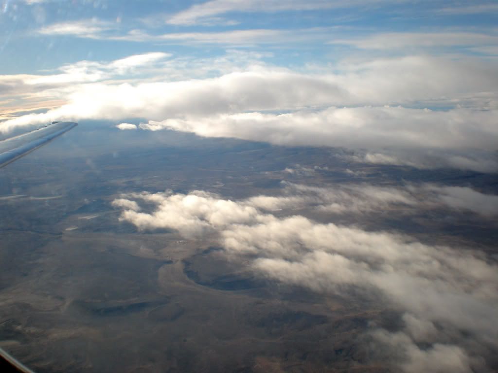 P4190101.jpg