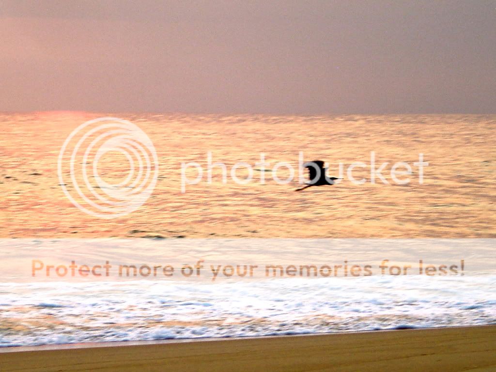 DSC06306.jpg