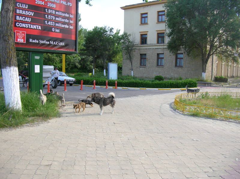 DSCN6788.jpg