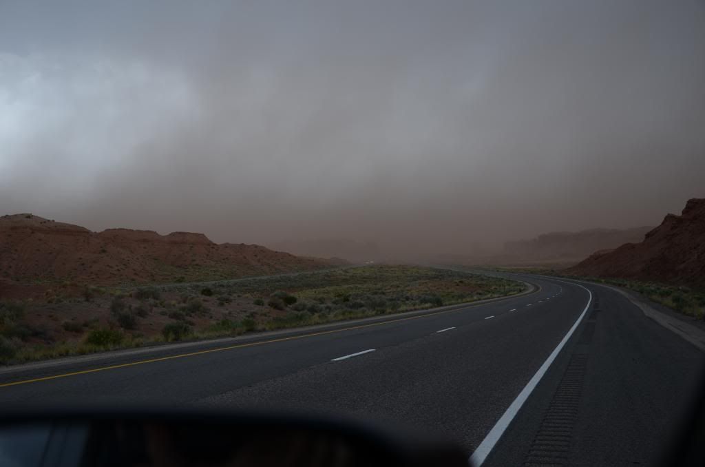 DSC_0867.jpg