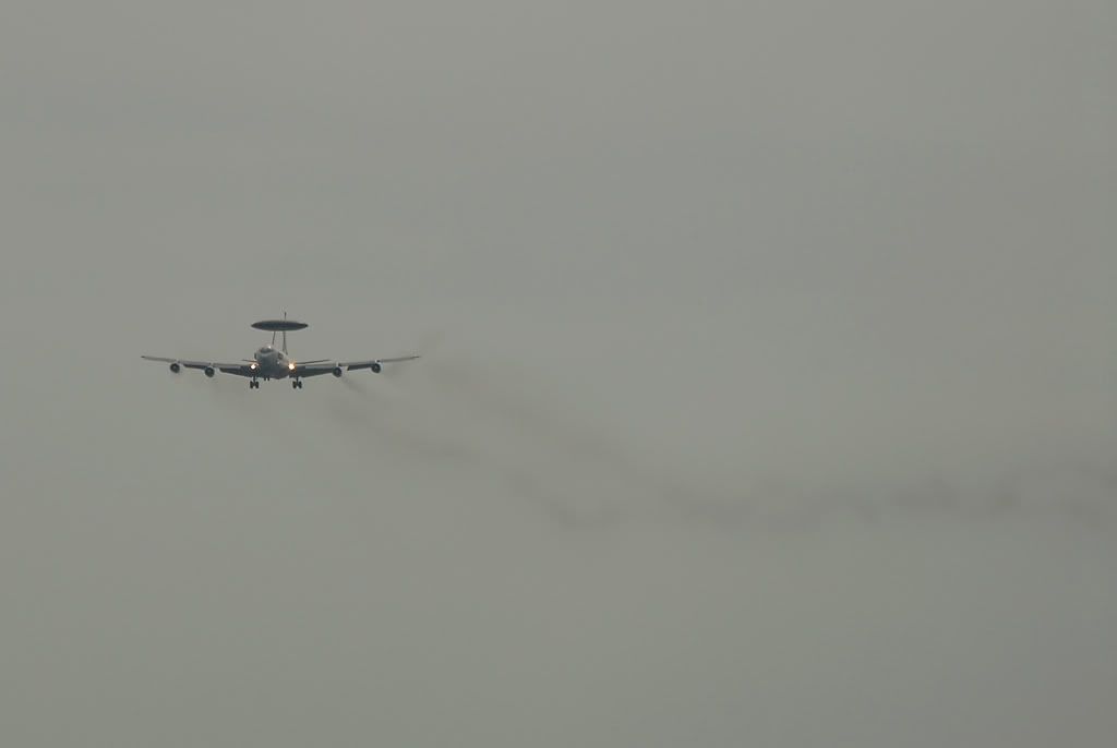 DSC_0117.jpg