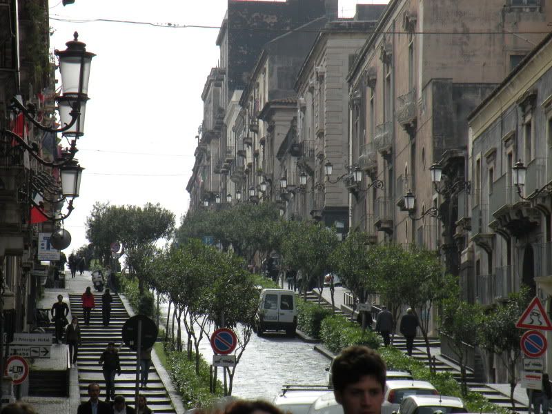 DSCN8264.jpg