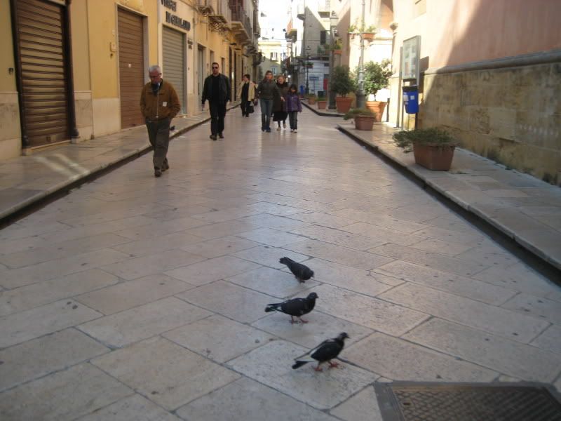 IMG_3332.jpg