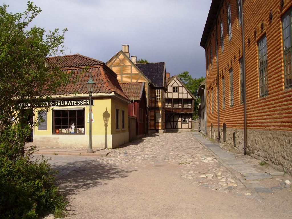 IMGP2868.jpg